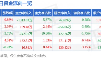 股票行情快报：嘉诚国际（603535）2月20日主力资金净卖出1313.83万元