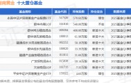 4月21日湖南黄金涨9.99%，永赢中证沪深港黄金产业股票ETF基金重仓该股