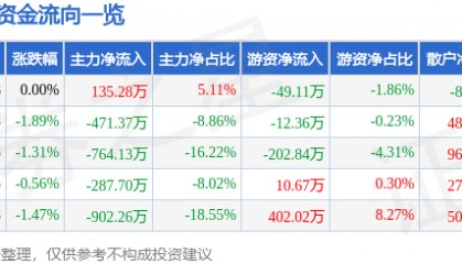 股票行情快报：黑牡丹（600510）3月25日主力资金净买入135.28万元