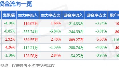 股票行情快报：狄耐克（300884）1月10日主力资金净买入110.07万元