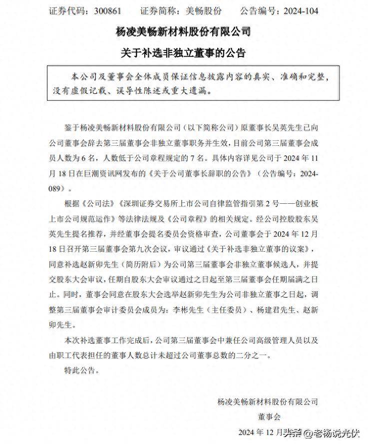 隆基也成黄埔军校了？美畅股份补选90后董事，曾任职隆基