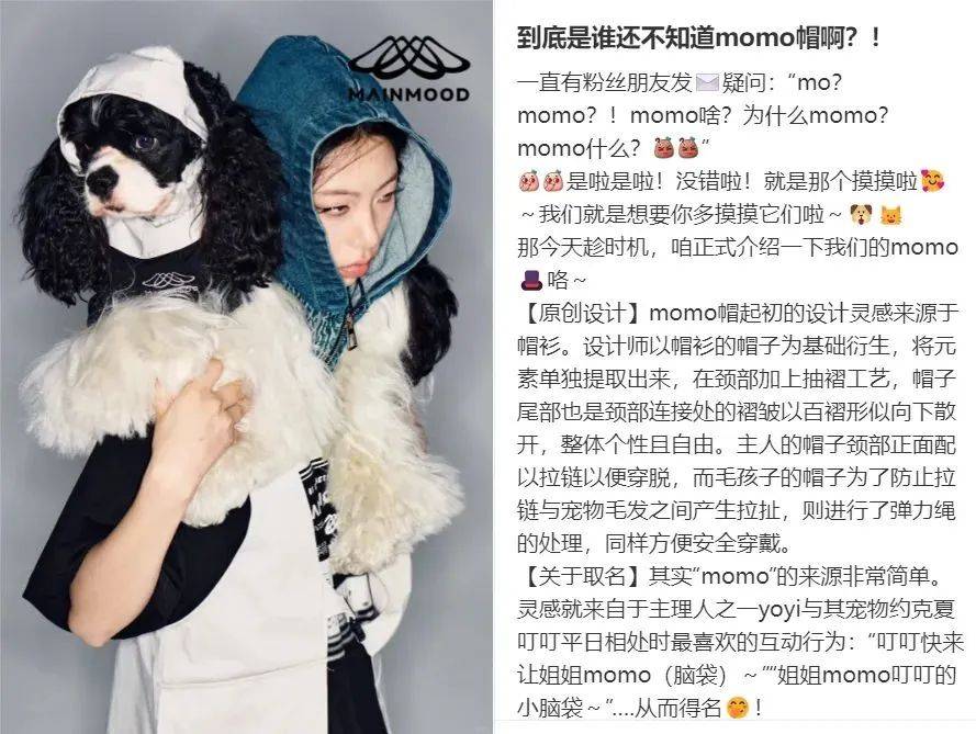 宠物服饰被炒至3000元！阿迪耐克下场争抢"狗界Lululemon"