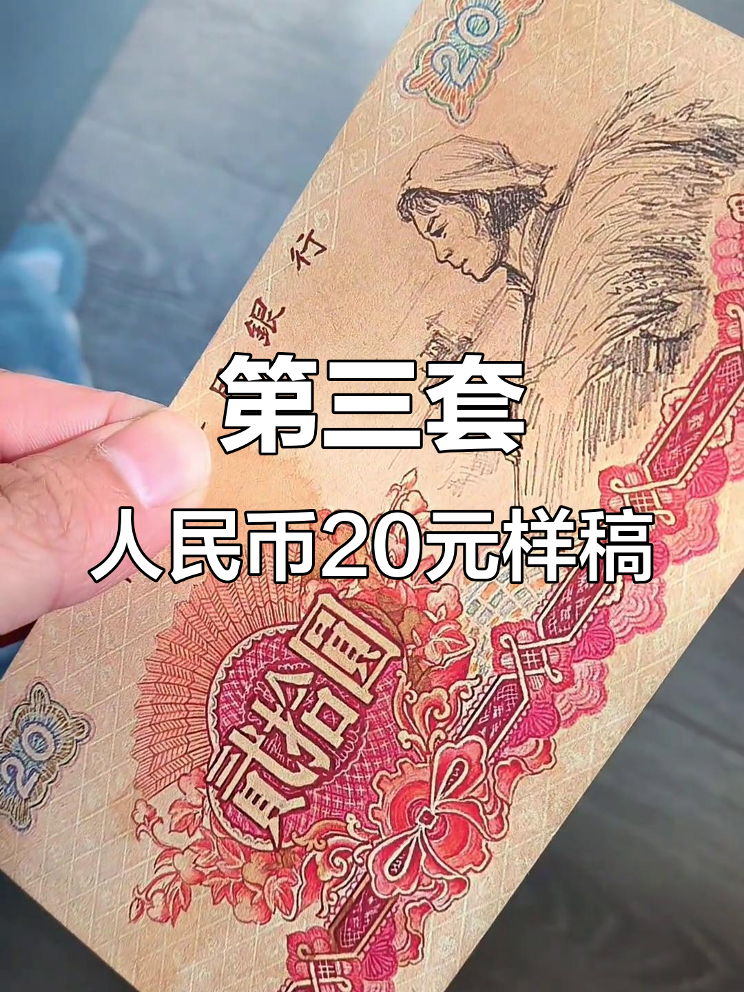 币岁(币岁什么意思)