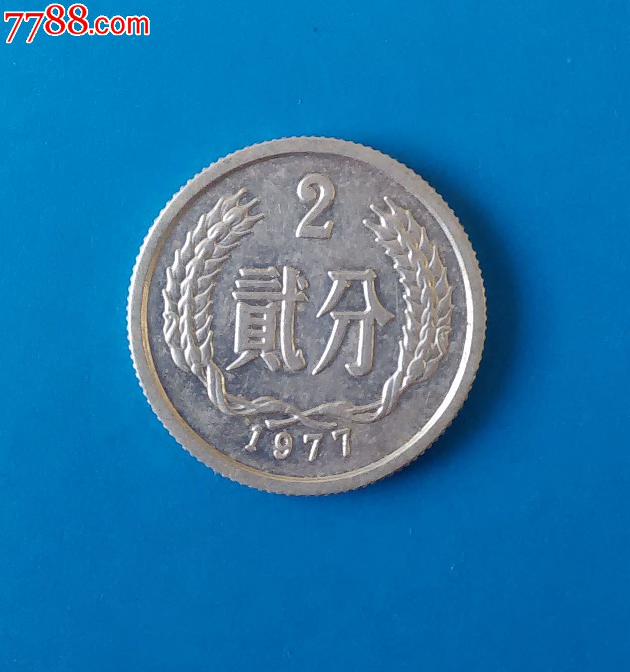 排单币(排单币的英文怎么写)