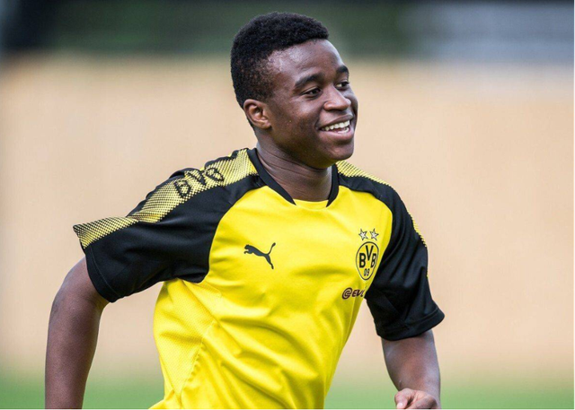 多特币价格(多特币最新价格)