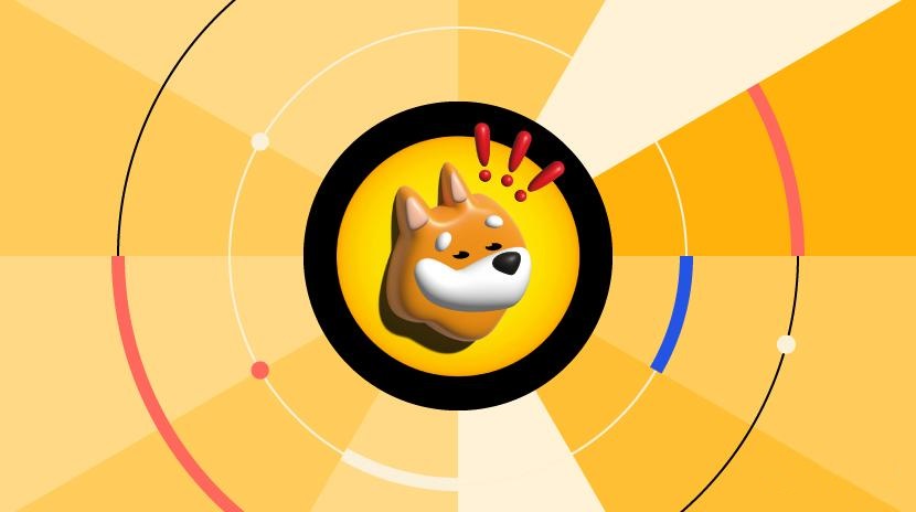 猎币(猎币怎么获得)