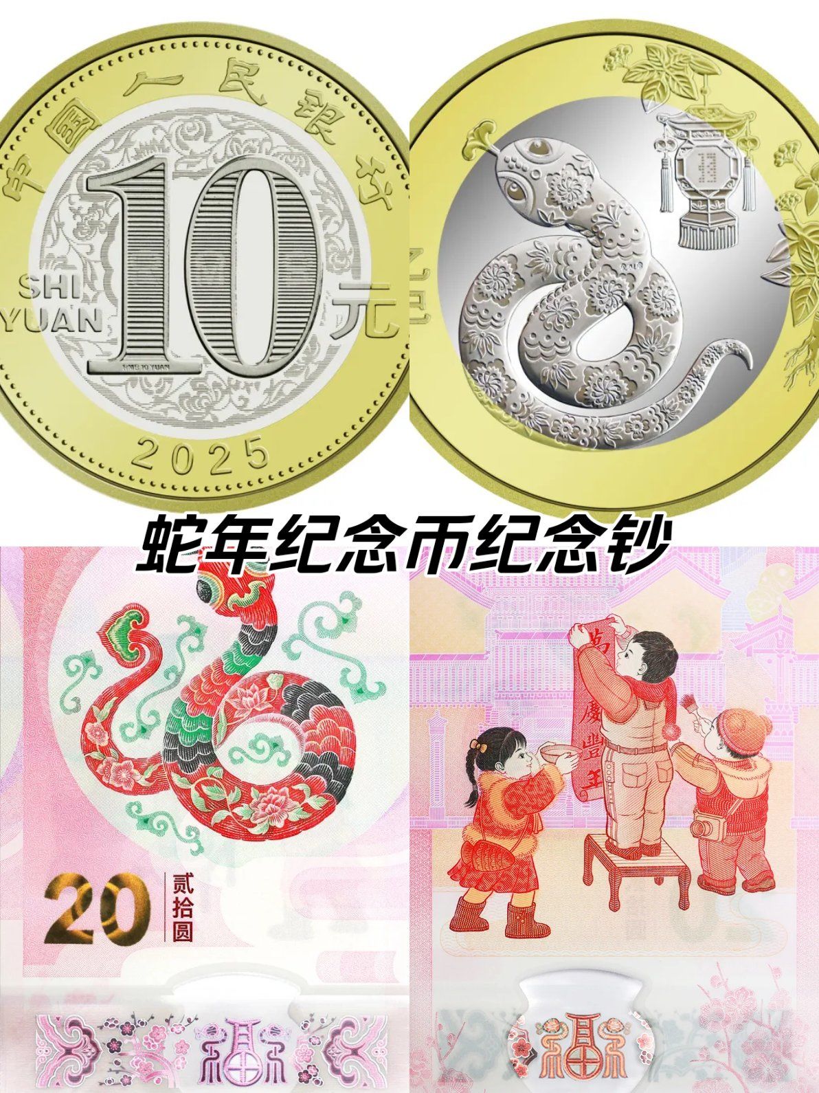 蛇币(蛇币面值)