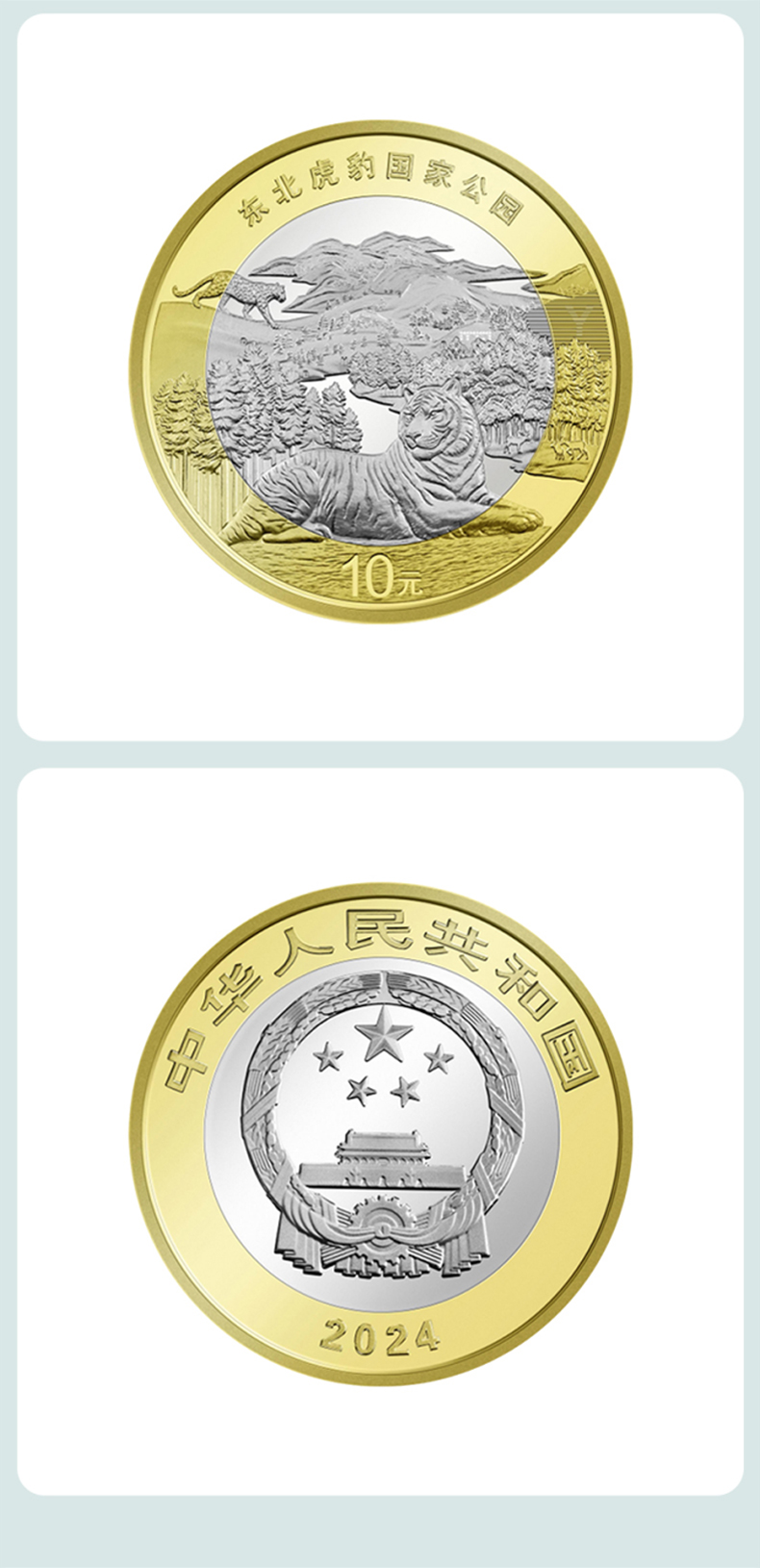 论坛币(币圈交流论坛)