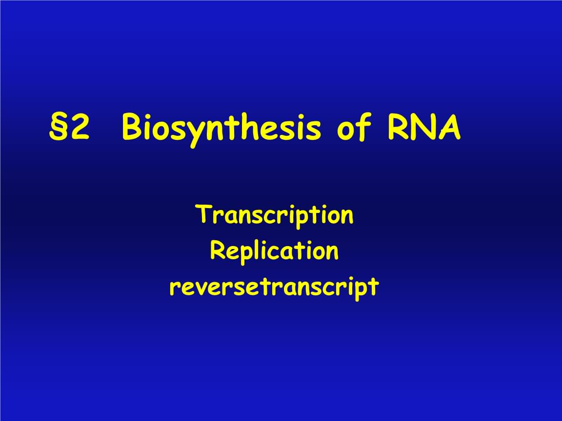 碱基币(建几笔画)