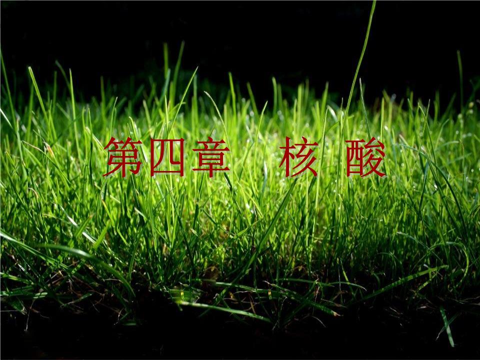 碱基币(建几笔画)