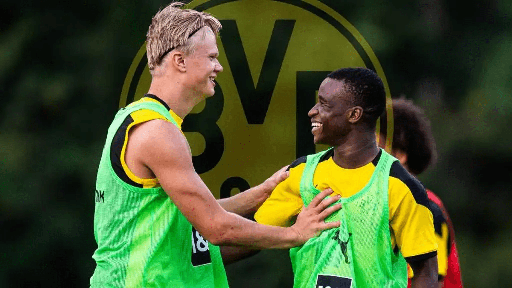 多特币价格(多特币是什么币)