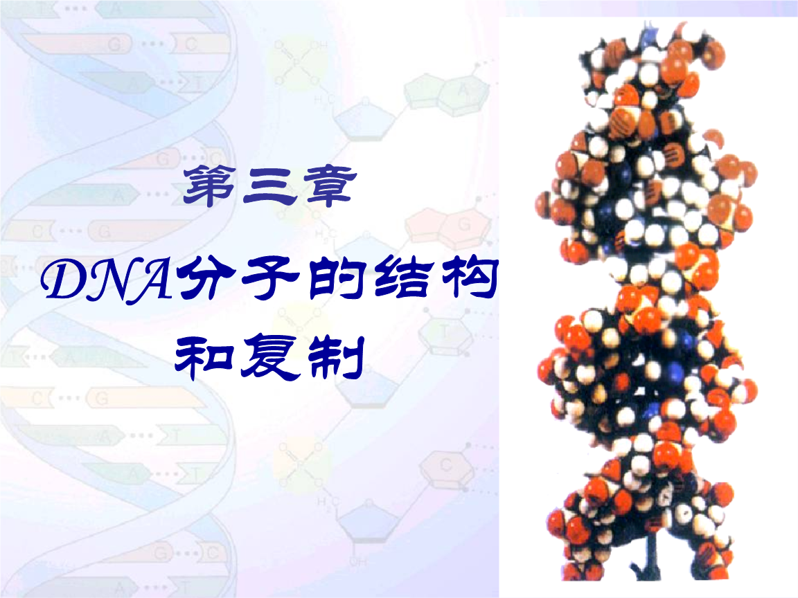 碱基币(坚几笔画)